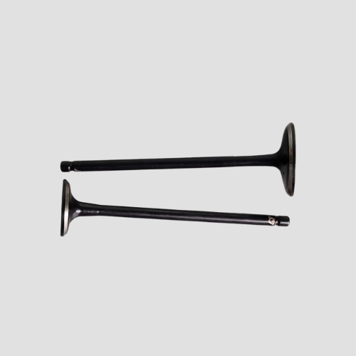 Valve Set Pulsar 125 N/M For Bajaj Buy NV Spares Genuine