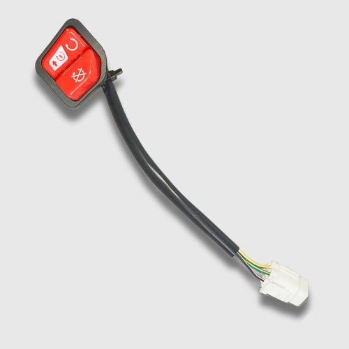 Switch Starter W/Engine On/Off Access BS6 (NAW0217)