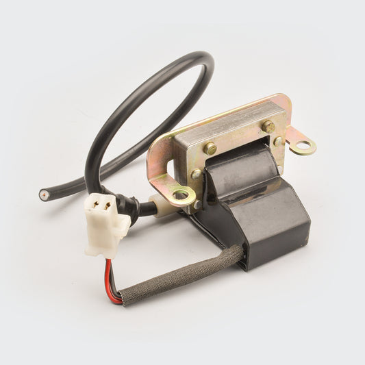 Perfect Replacment CDI W/E.T.Coil Suzuki/Samurai for TVS Two-wheelers