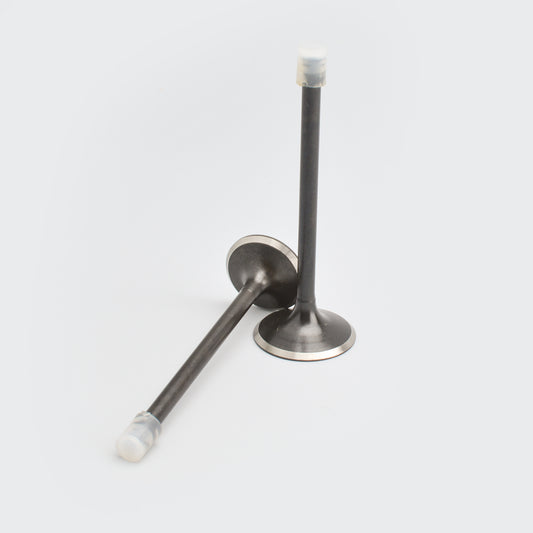 Perfect Replacment Valve Set CBZ/Karizma for Hero Two-wheelers